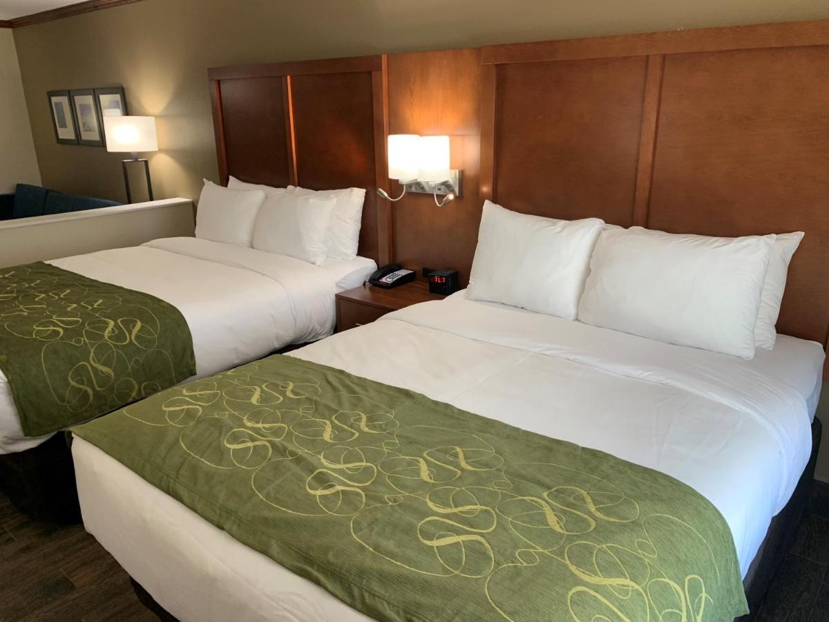 Comfort Suites West Monroe Near Ike Hamilton Expo Center Zewnętrze zdjęcie