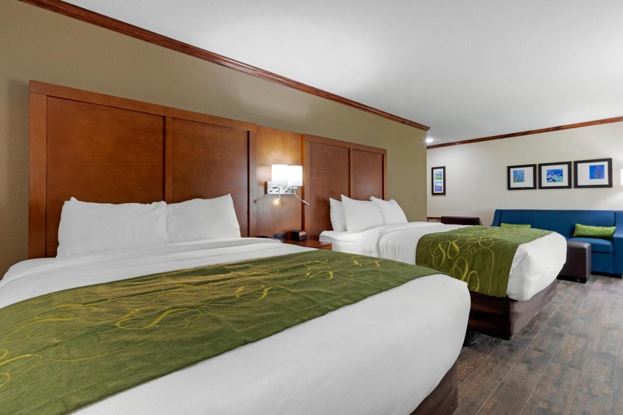 Comfort Suites West Monroe Near Ike Hamilton Expo Center Zewnętrze zdjęcie